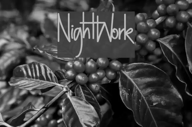 NightWork Font examples