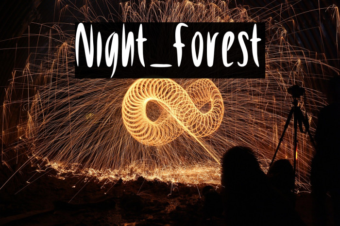 Night_Forest Example 1