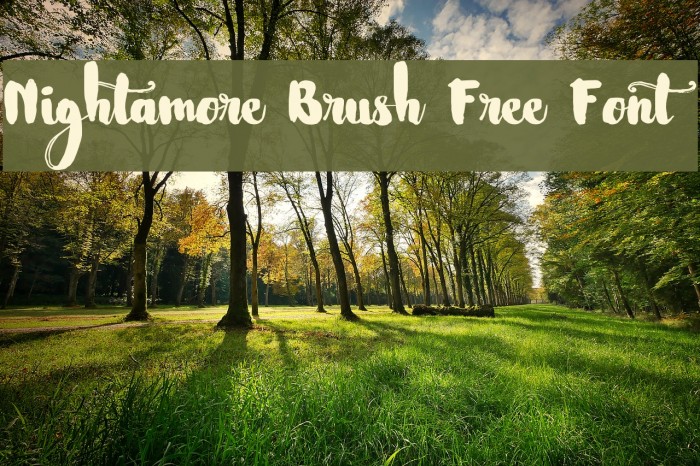 Nightamore Brush Free Font Example 1