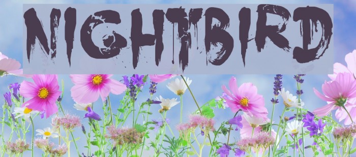 Nightbird Font examples