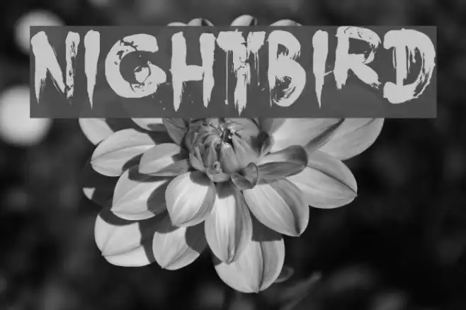 Nightbird Example 2