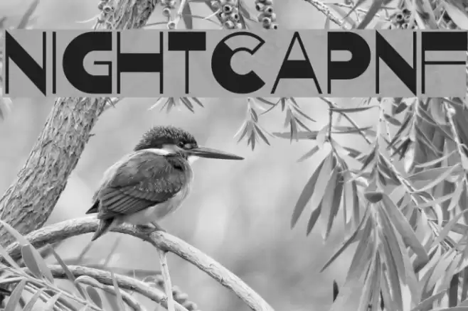 NightcapNF Font examples