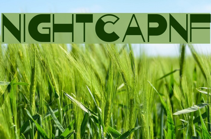 NightcapNF Example 3