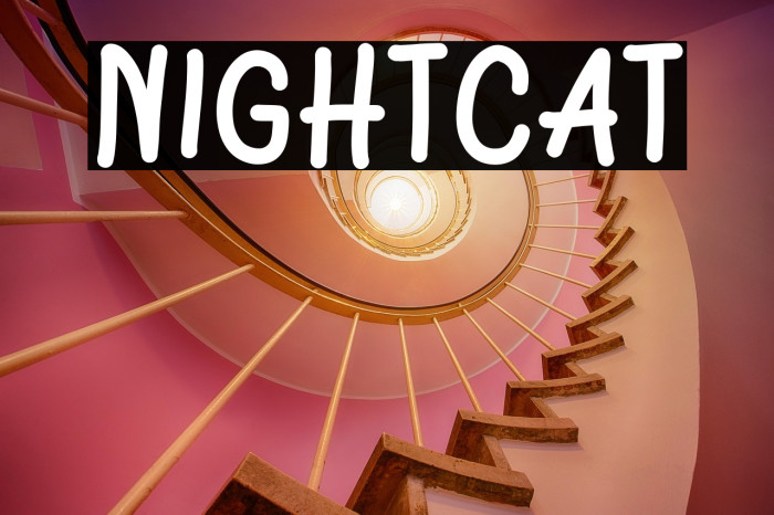 Nightcat Example 1