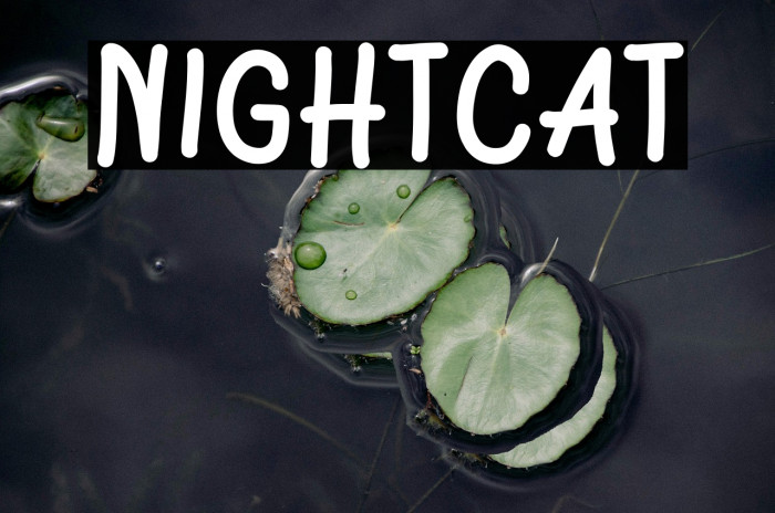 Nightcat Example 2