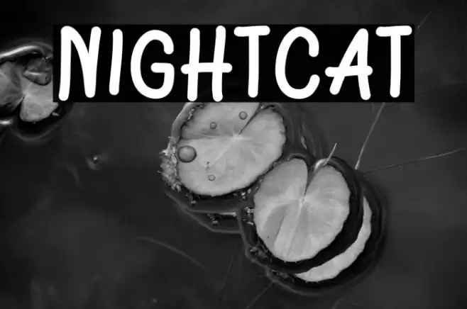 Nightcat Caratteri examples