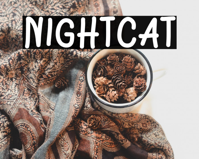 Nightcat Example 3