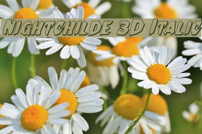 Nightchilde 3D Italic Font examples