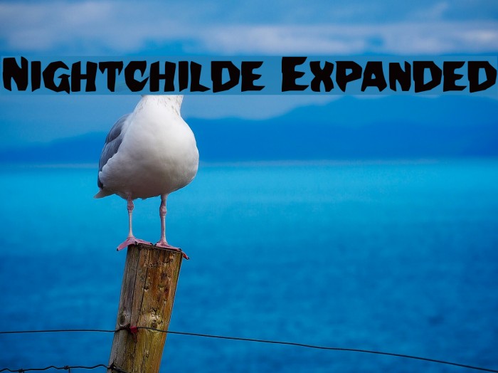 Nightchilde Expanded Example 2