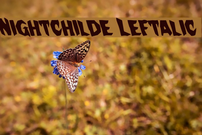 Nightchilde Leftalic Font examples