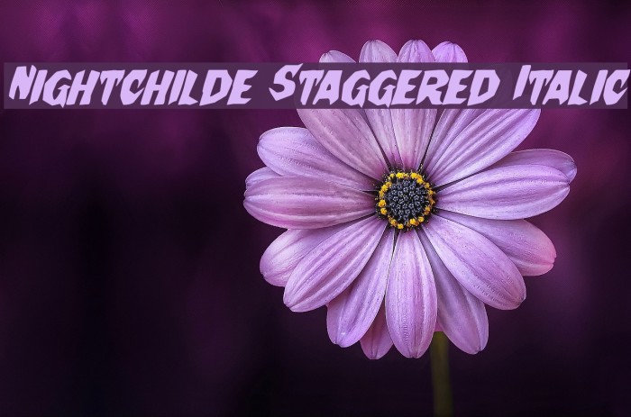 Nightchilde Staggered Italic Font examples