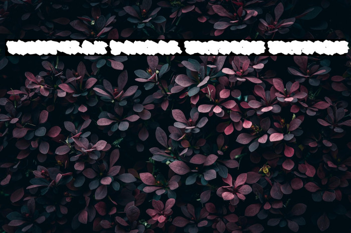 Nightclaw Vandal Extrude Extrude Example 3