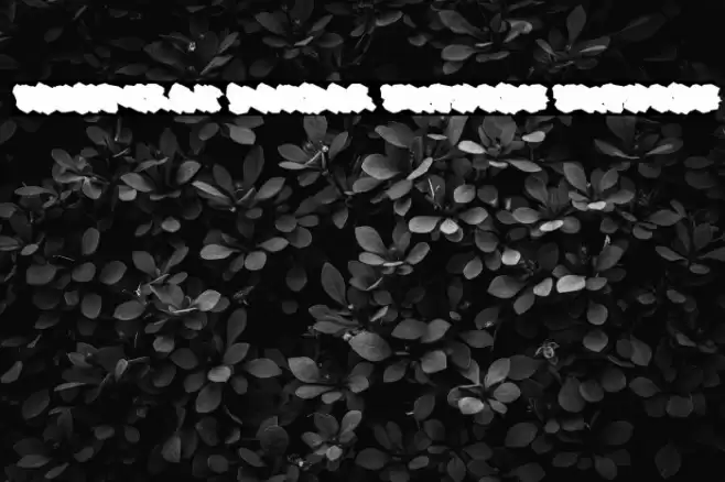 Nightclaw Vandal Extrude Extrude フォント examples