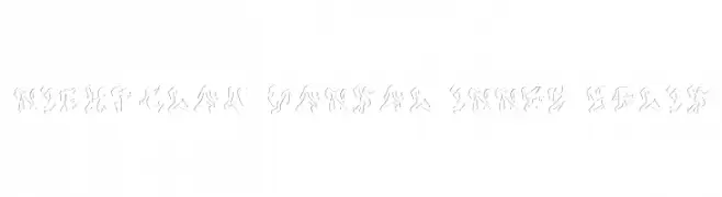 Nightclaw Vandal Inner Solid Caratteri