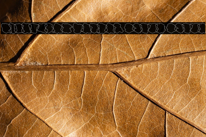 Nightclaw Vandal Outer Outer Example 3