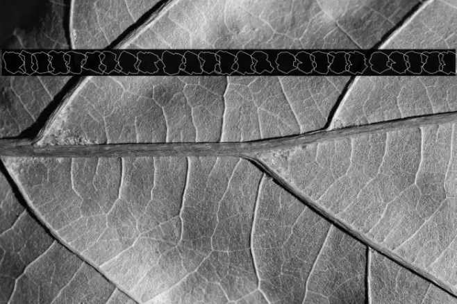 Nightclaw Vandal Outer Outer フォント examples