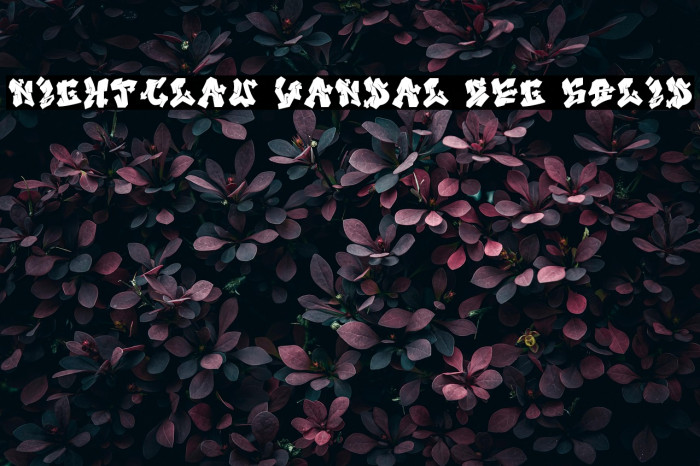 Nightclaw Vandal Reg Solid Example 3