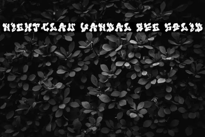 Nightclaw Vandal Reg Solid फ़ॉन्ट examples