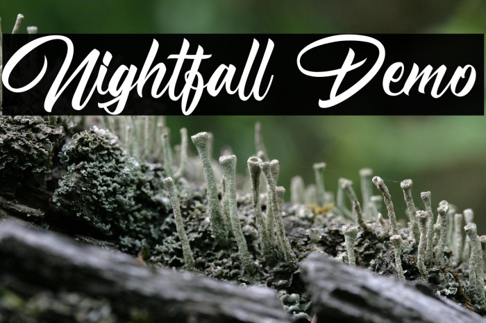 Nightfall Demo Example 1