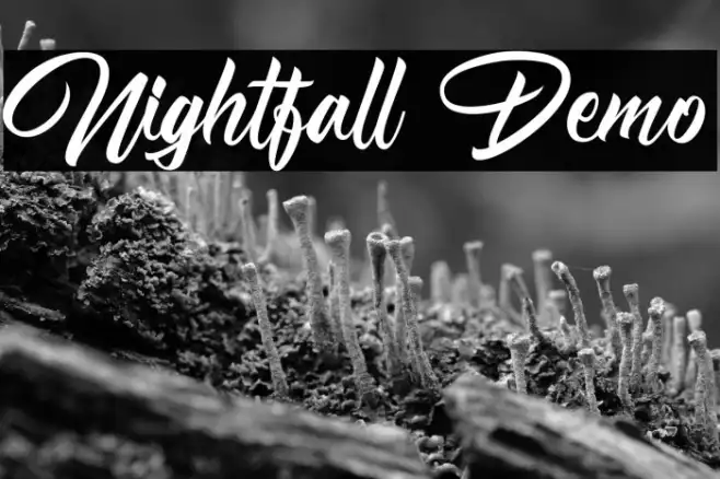 Nightfall Demo Example 1