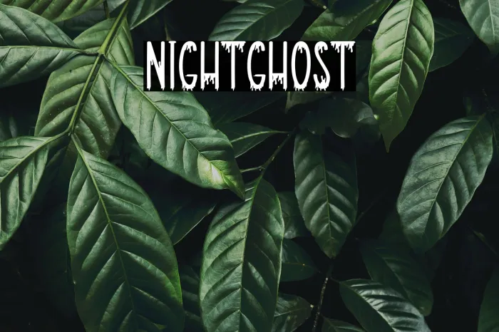 Nightghost Example 1