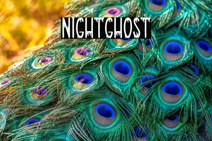 Nightghost Example 2