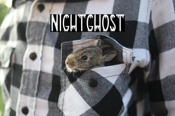 Nightghost Example 3