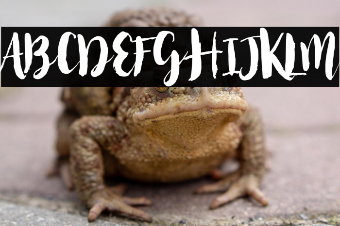 Nightingale Example 2