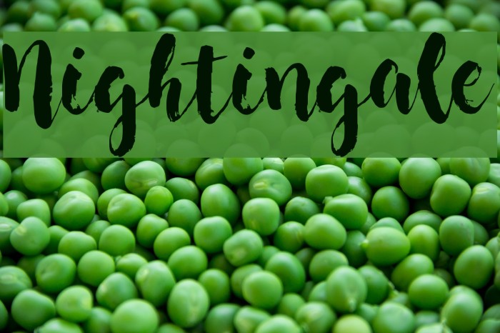 Nightingale Font examples