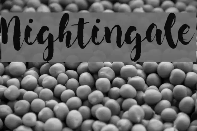 Nightingale Font examples