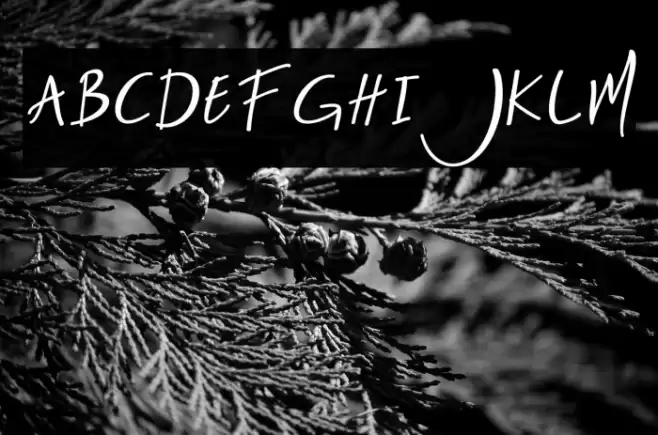 Nightlife-Regular Font examples