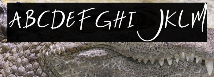 Nightlife-Regular Example 3