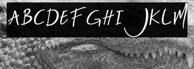 Nightlife-Regular Font examples