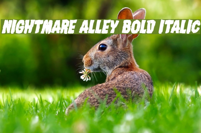 Nightmare Alley Bold Italic Font examples