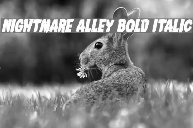Nightmare Alley Bold Italic Example 1