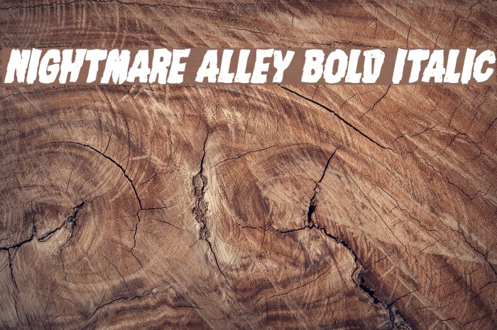 Nightmare Alley Bold Italic Font examples