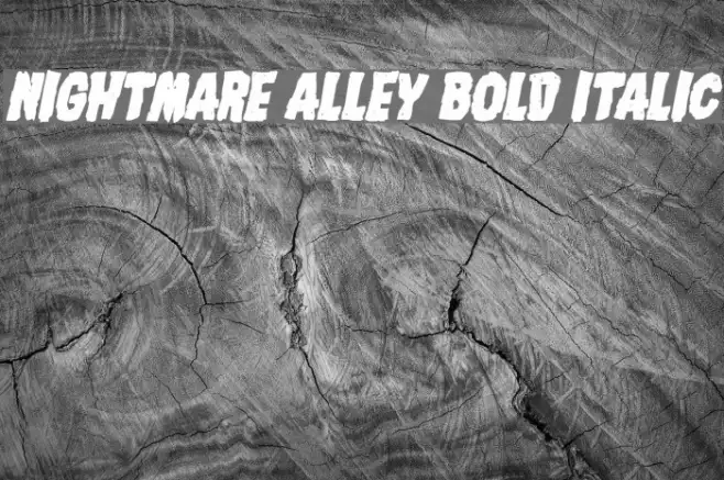Nightmare Alley Bold Italic Example 3