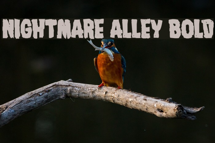 Nightmare Alley Bold フォント examples