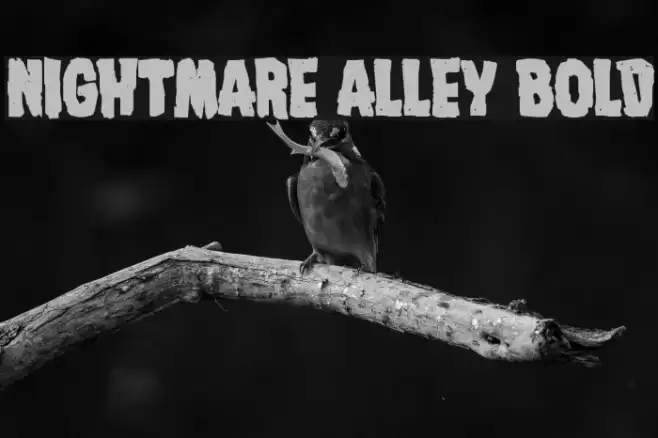 Nightmare Alley Bold Font examples