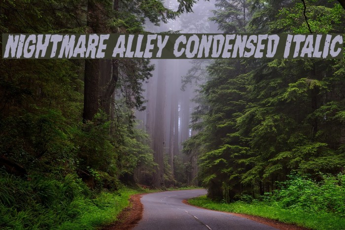 Nightmare Alley Condensed Italic Example 3