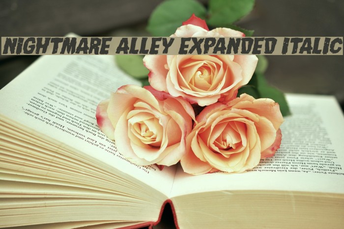 Nightmare Alley Expanded Italic Font examples