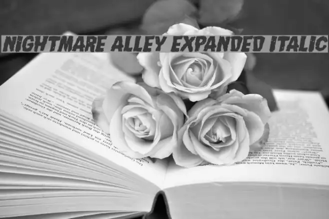 Nightmare Alley Expanded Italic Example 2