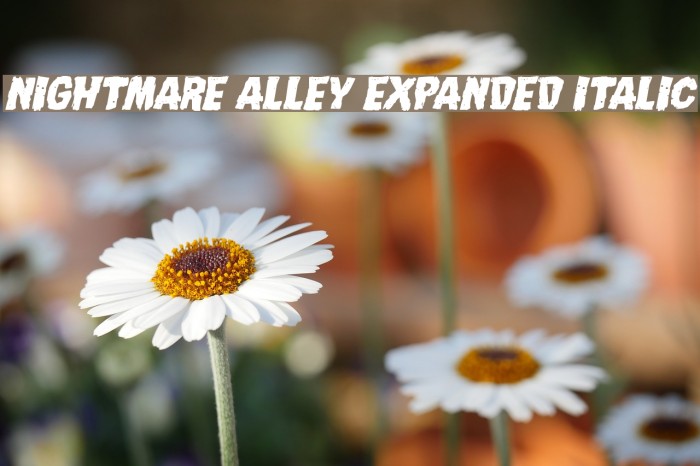 Nightmare Alley Expanded Italic Font examples