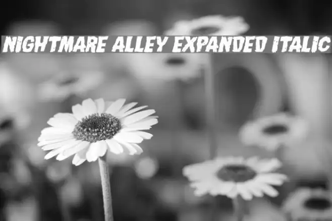 Nightmare Alley Expanded Italic Example 3