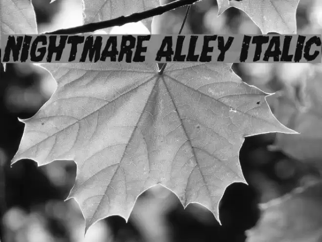 Nightmare Alley Italic Font examples
