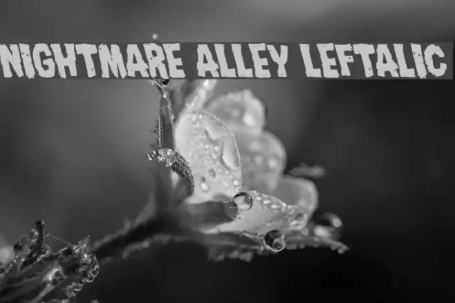 Nightmare Alley Leftalic Font examples