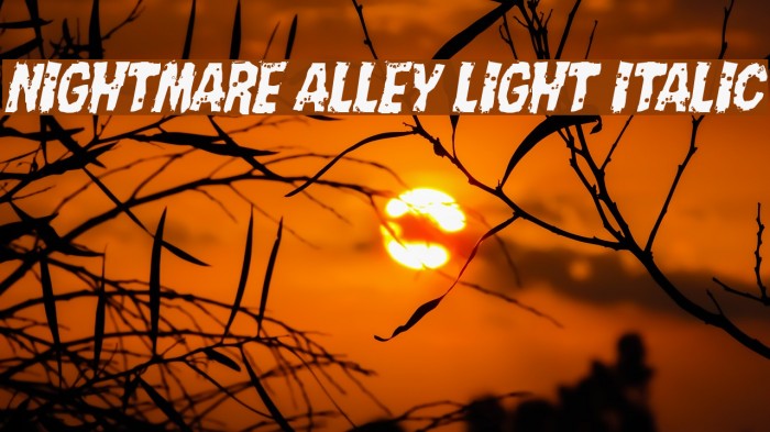 Nightmare Alley Light Italic Font examples