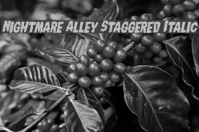 Nightmare Alley Staggered Italic Font examples