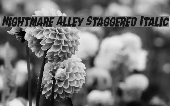 Nightmare Alley Staggered Italic Font examples