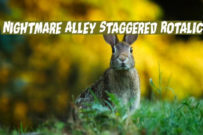 Nightmare Alley Staggered Rotalic Example 3